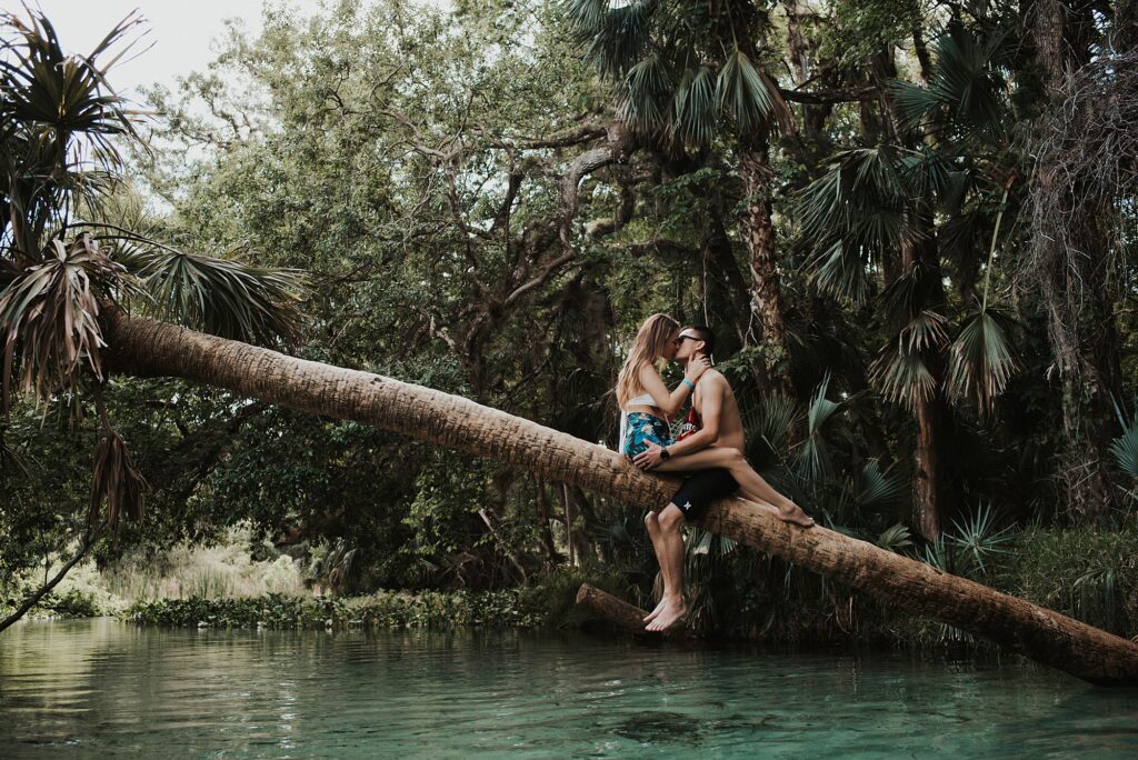 Couple sitting on a slanted Palm tree in King's Landing during their Florida adventure elopement